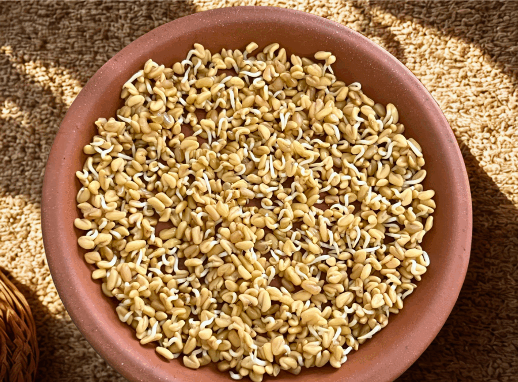 How To Grow Fenugreek Microgreens