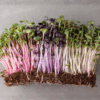 Microgreens