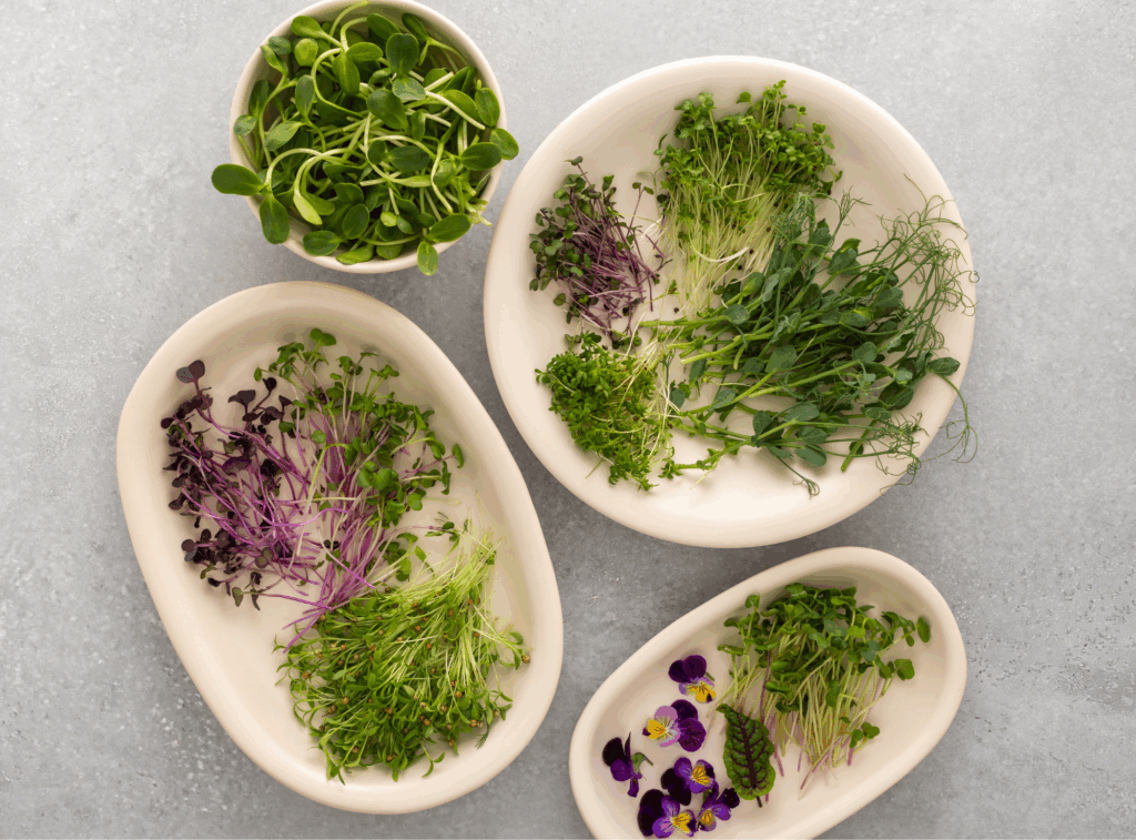Microgreens
