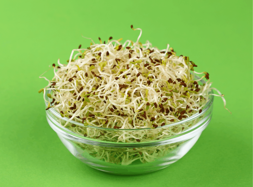 How to Grow Moong Microgreens
